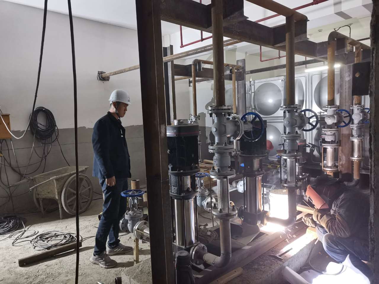 IMG_20240921_162446.jpg IMG_20240921_162446.jpg